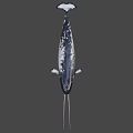 Realistic 3D Model of Narwhal With Long Tusk and Black White Skin