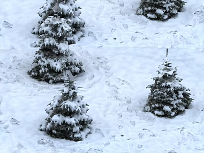 Snowy Winter Landscape With Snow Covered Pine Trees And Footprints 3d model