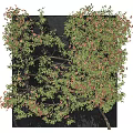 Lush Green Vines with Pink Flowers Decorative Wall Hanging Ornamental Plant