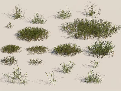 modern grass weed 3d model