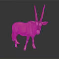 Oryx with Long Curved Horns and Tan White Coat Standing on Black Background