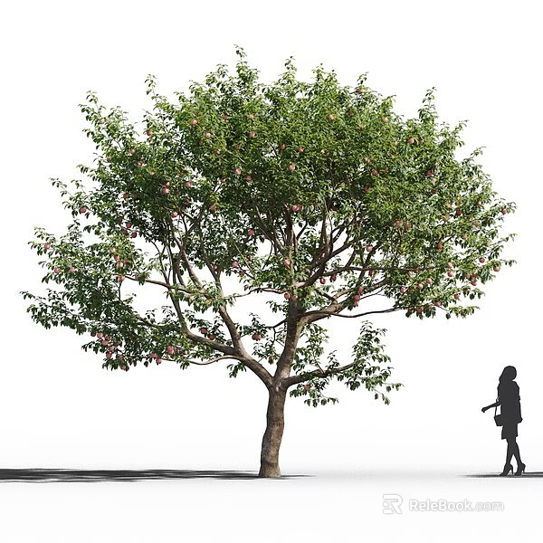 Lush Green Arbor With Dense Foliage Strong Trunk And Person Silhouette Outdoors 3d model 