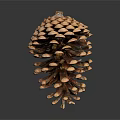 Pine Cone As Natural Edible Food With Brown Scales And Rough Surface