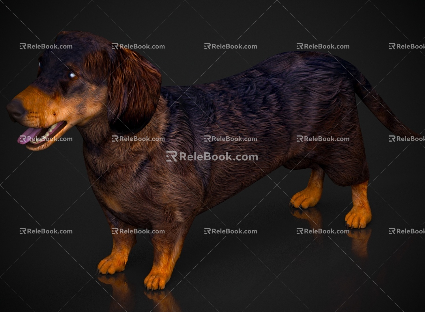 Dog Pet Dog Sausage Dog 3d model