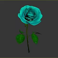 Turquoise Rose Plant With Vibrant Layered Petals Fresh Green Leaves And Stem