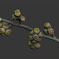 Plant Branch Featuring Round Yellow and Brown Fruits on Dark Background with Reflection