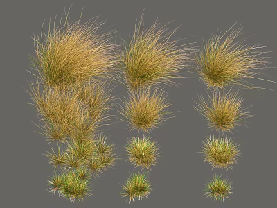 Multiple Types of Ornamental Grass in Green and Yellow with Bushy Slender Forms 3d model