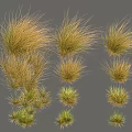 Multiple Types of Ornamental Grass in Green and Yellow with Bushy Slender Forms
