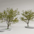 Modern Tree Planter Design With Green Trees And Oval White Base 3d model