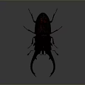 Stag Beetle With Large Curved Mandibles And Dark Exoskeleton Close Up View On Gray Background