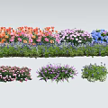 Colorful Mixed Flower Beds With Orange Pink Purple And Blue Blooms In Garden