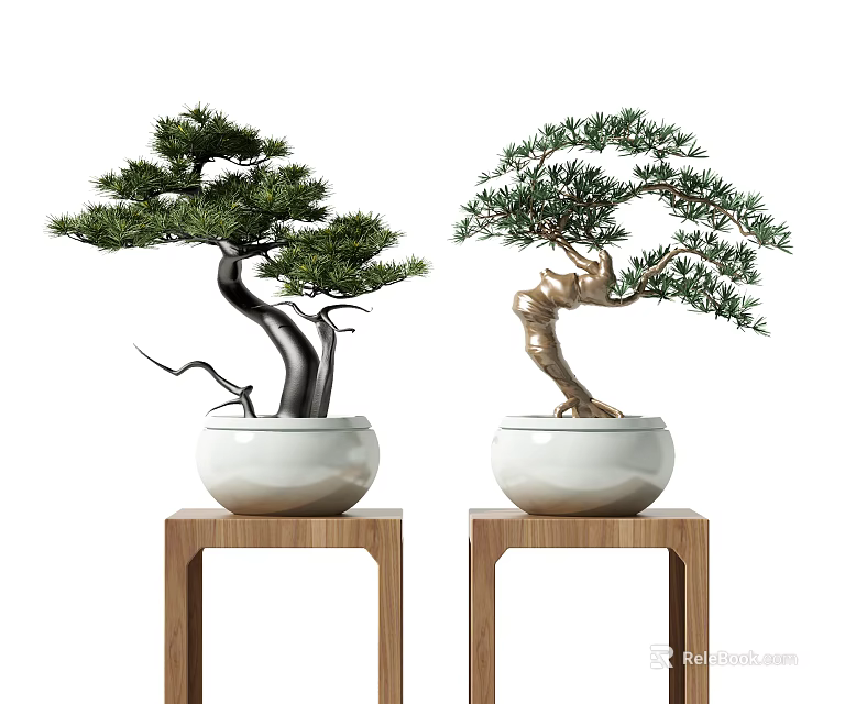 Two Bonsai Plants in White Pots on Wooden Stands with Curved Trunks and Green Foliage 3d model 