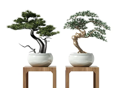 Two Bonsai Plants in White Pots on Wooden Stands with Curved Trunks and Green Foliage 3d model