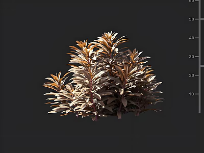Dense Bronze Leaf Shrub With Lush Foliage In Outdoor Landscape Setting 3d model