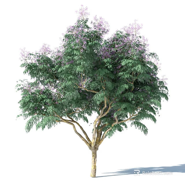Tall Tree With Lush Green Leaves And Purple Flowers In Garden 3d model 