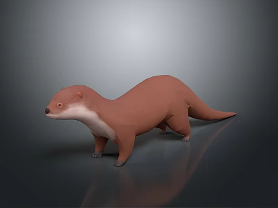 Brown Otter 3D Model Standing On Gray Background With Realistic Rendering 3d model