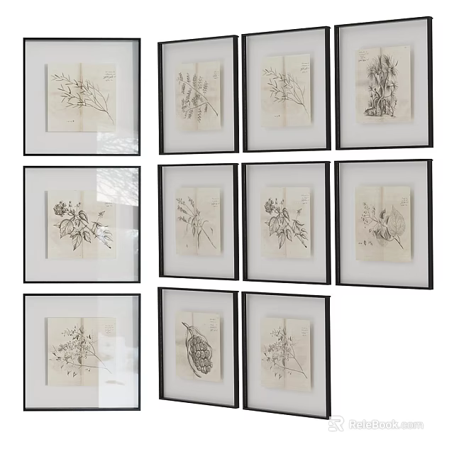 Botanical Sketches Photo Wall With Framed Art On White Wall And Black Frames 3d model 