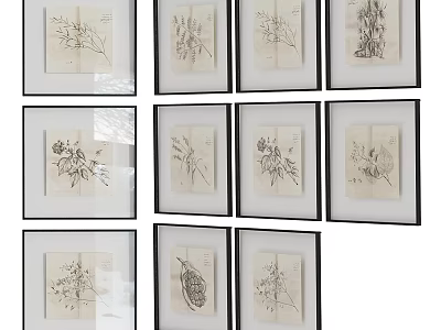Botanical Sketches Photo Wall With Framed Art On White Wall And Black Frames 3d model