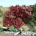 Green Wall Decorated With Red Shrubs Green Plants Stones And Wood Logs