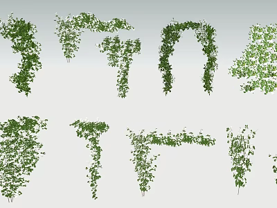 Decorative Vines In Various Shapes For Interior Design Elements 3d model