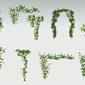 Decorative Vines In Various Shapes For Interior Design Elements