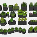 Various Green Plants In Black Planters With Different Geometric Shapes