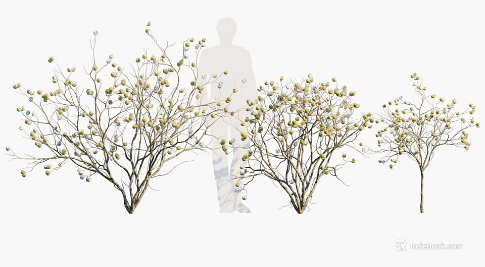 Ornamental Trees with White Flower Buds and Delicate Branches in Landscape 3d model 