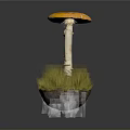 Vibrant Orange Cap Mushroom with White Stem and Green Grass on Base against Dark Background