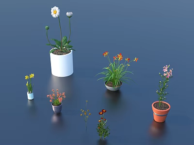 Assorted Potted Plants With Colorful Flowers In Different Ceramic Pots 3d model