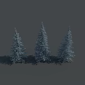 Three Snow Covered Evergreen Pine Trees In Winter Landscape With Shadows 3d model
