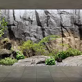 Indoor Landscape Featuring Natural Rock Wall Lush Green Plants And Decorative Stones
