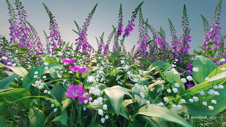 Vibrant Garden Flowers Purple Foxglove White Lily of the Valley Tall Stems Green Leaves Sunlit 3d model 
