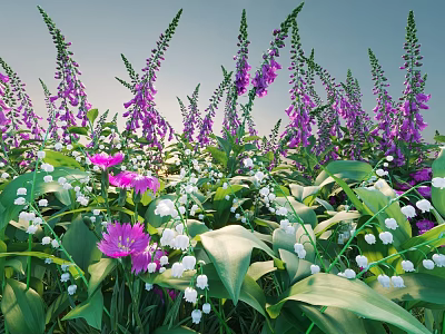 Vibrant Garden Flowers Purple Foxglove White Lily of the Valley Tall Stems Green Leaves Sunlit 3d model