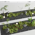 Bonsai Potted Plants Natural Landscape Design With Moss Stones And Ferns