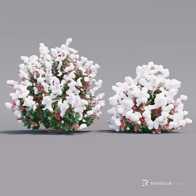 Decorative Flowering Bushes With White And Red Blooms And Green Leaves 3d model 
