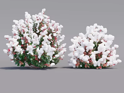 Decorative Flowering Bushes With White And Red Blooms And Green Leaves 3d model