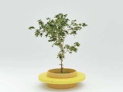 tree pond green plant potted plant model