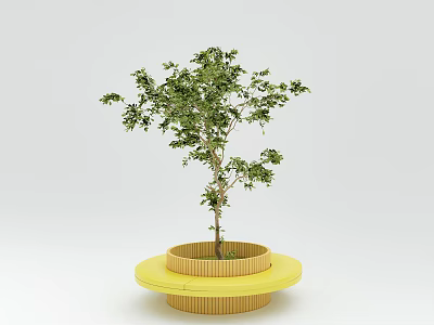 Green Leafy Tree Planted in Yellow Round Bamboo Woven Planter Against White Background 3d model