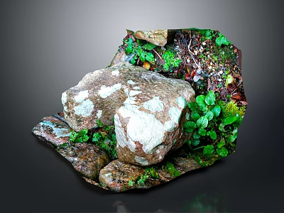 Natural Wood And Stone Features With Green Moss And Lush Plants 3d model