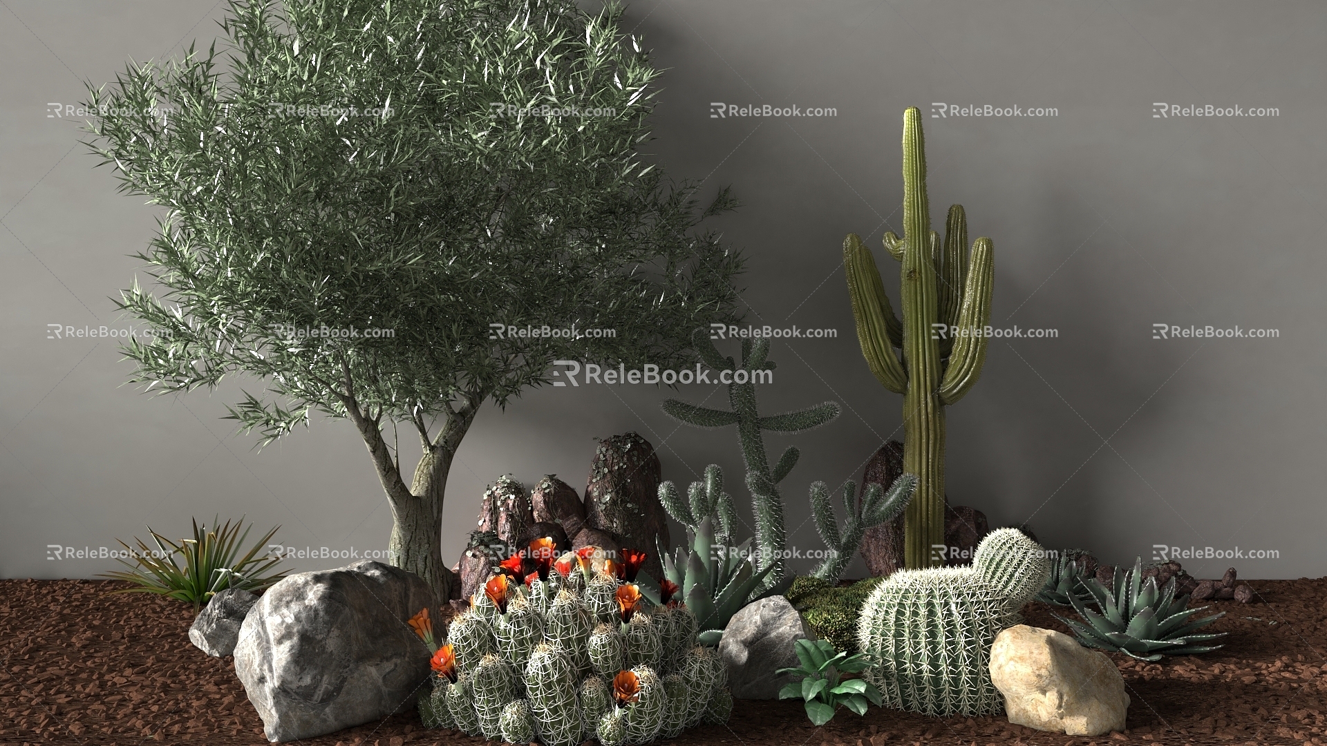 Plant Cactus Plant Landscape 3d model