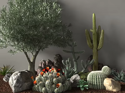 Lush Garden Shrub Display With Olive Tree Cactus Succulents Rocks And Red Flowers 3d model