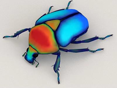 Vibrant Colorful Flying Beetle With Iridescent Blue Red Orange Wings And Shiny Exoskeleton 3d model