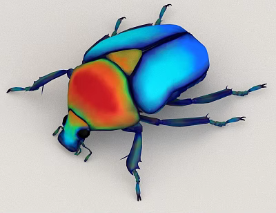 Vibrant Colorful Flying Beetle With Iridescent Blue Red Orange Wings And Shiny Exoskeleton 3d model