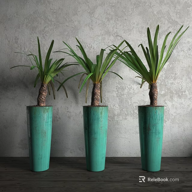 Three Bonsai Plants in Green Textured Pots Against Gray Wall and Dark Floor 3d model 