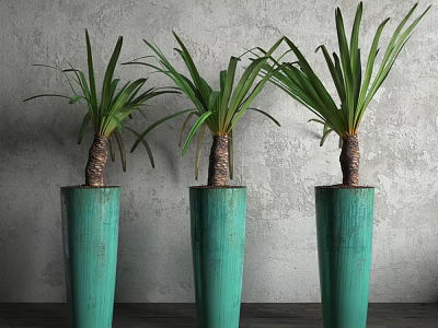 Three Bonsai Plants in Green Textured Pots Against Gray Wall and Dark Floor 3d model