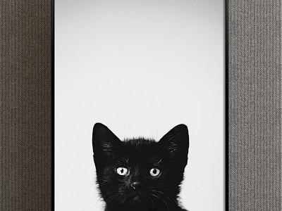 Modern Animal Painting Simple Black and White Study Animal Cat Decorative Painting model