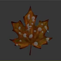 Vibrant Orange Red Maple Leaf With Shiny Water Droplets On Surface