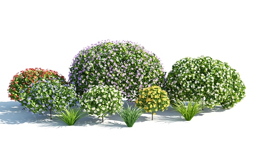 Modern shrubs 3d model