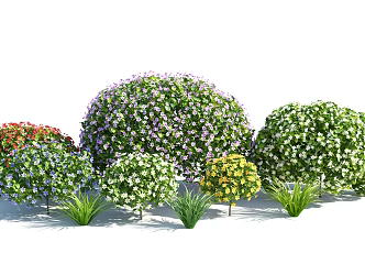 Modern shrubs 3d model