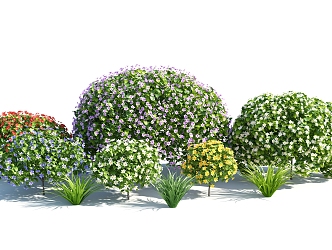 Modern shrubs 3d model